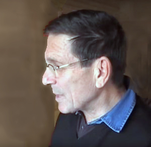 Michel Schulman