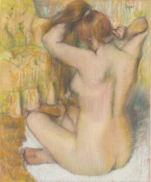 Photo de Femme nue vue de dos se coiffant