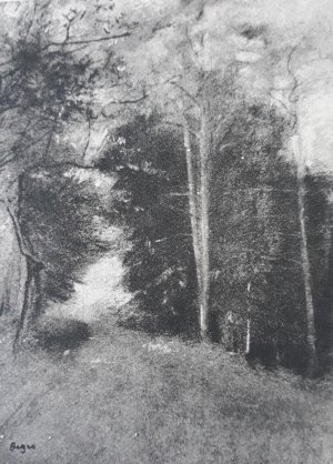 Photo de Route à l'entrée d'une forêt
