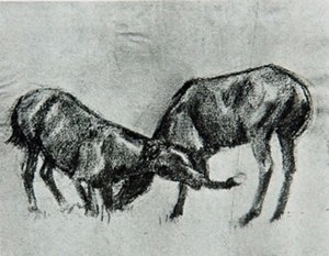 Photo de Deux chevaux