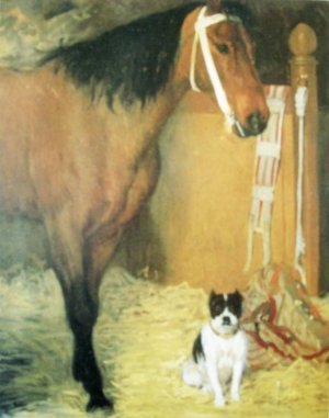 Photo de A l’écurie. Cheval et chien