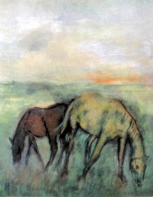 Photo de Deux chevaux au pâturage