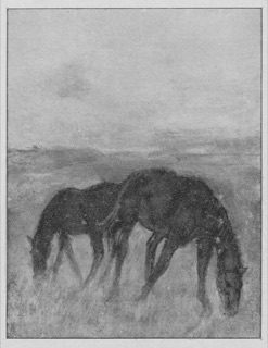 Deux chevaux au pâturage