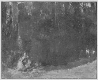 L'étang dans la forêt