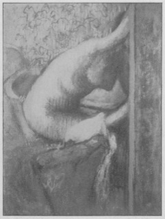 La toilette après le bain