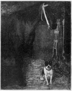 A l’écurie (cheval et chien.)