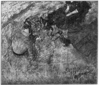 Femmes assises sur l'herbe