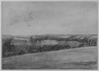 Paysage