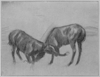 Deux chevaux