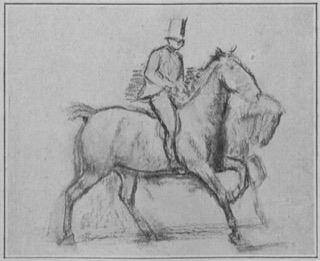 Cavalier