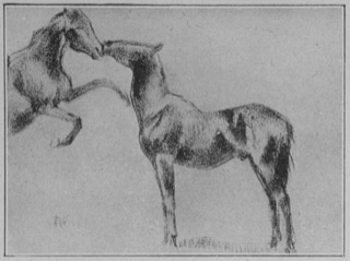 Deux chevaux