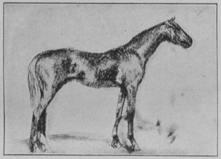 Cheval
