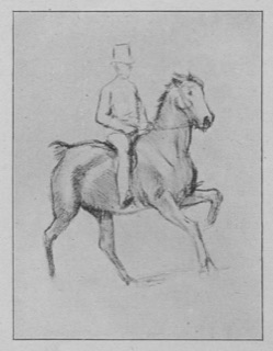 Gentlemen-rider