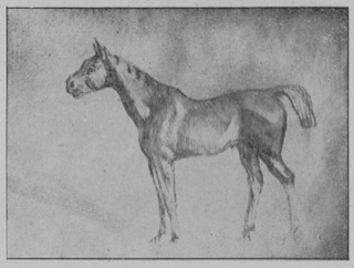Cheval