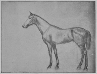 Cheval