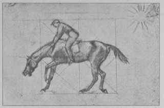 Jockey