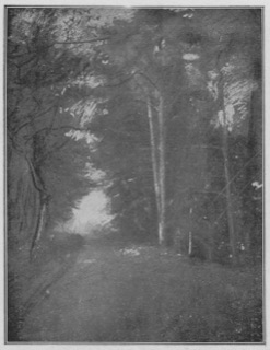 Route à l'entrée d'une forêt