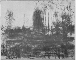 Prairie au bord de l'eau