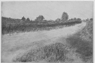 Route aux abords d'un hameau.