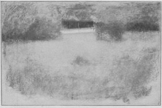 Pelouse et route sous-bois.