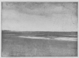 Plage à marée basse