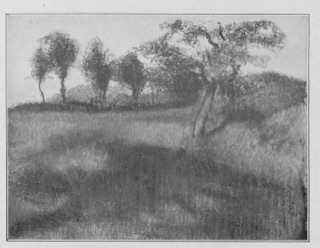Champ labouré bordé d'arbres