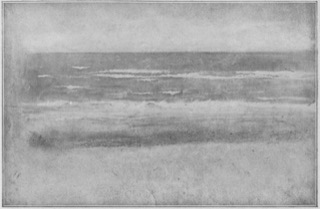 Plage à marée basse