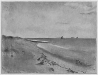 Dunes au bord de la mer