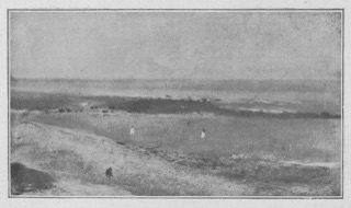 Plage à marée basse