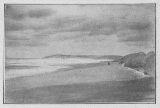 Dunes au bord de la mer