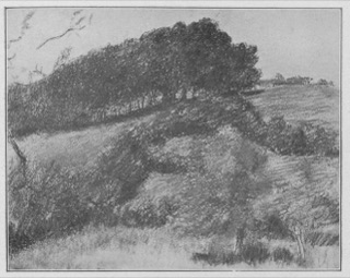 Arbres sur une colline