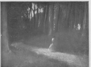Une route en forêt