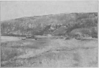 Falaises au bord de la mer