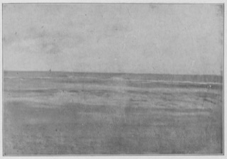 Plage à marée basse