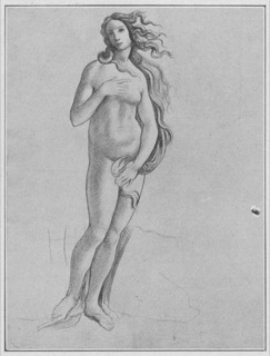 Études de nu (d'après des tableaux anciens de l'école italienne)