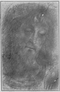 Tête d'homme