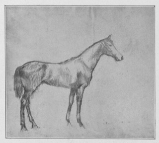 Étude de cheval.