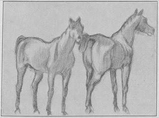 Chevaux