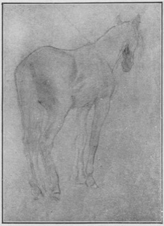 Cheval