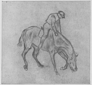 Cheval monté s'abreuvant