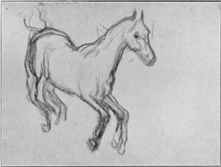Cheval galopant