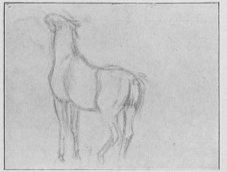Cheval à l'écurie.