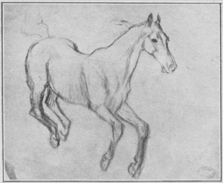 Cheval galopant