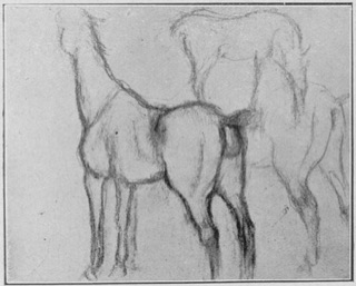 Étude de chevaux