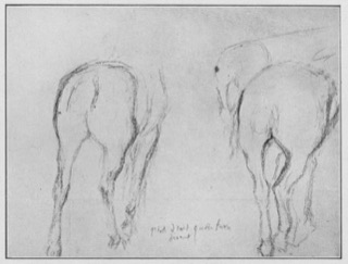 Deux études de croupe de cheval