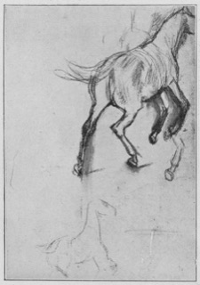 Cheval galopant