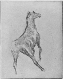 Cheval faisant un écart