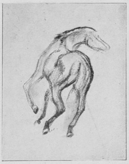 Cheval galopant