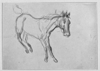 Cheval ruant
