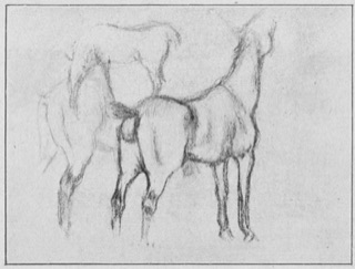Chevaux